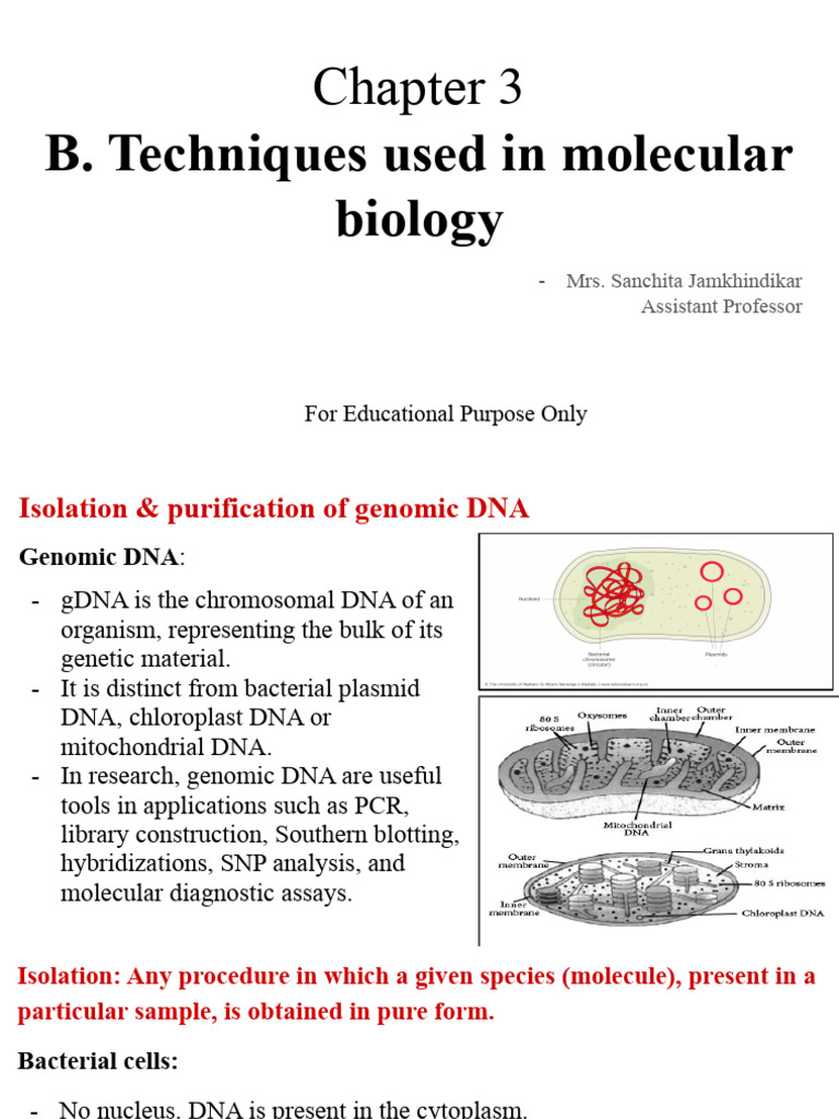 Molecular Biology: Top 9 Methods And Techniques Used In Molecular ...
