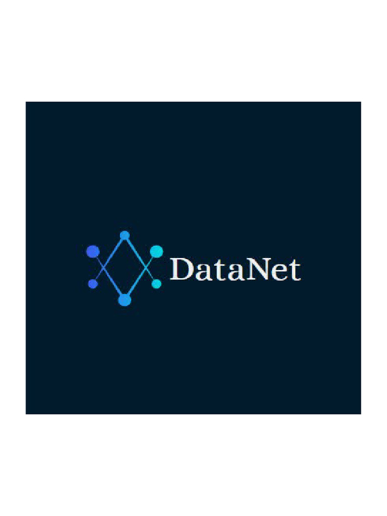 Data Net | PDF