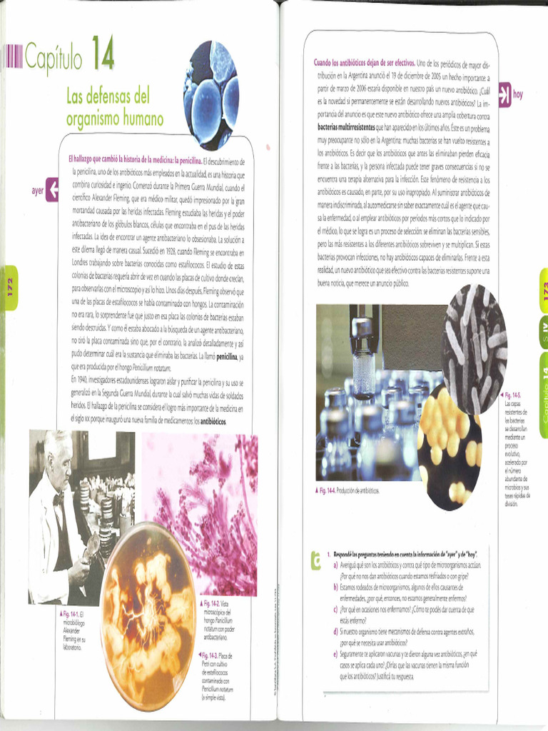 Sistema Linfático E Inmune Pdf