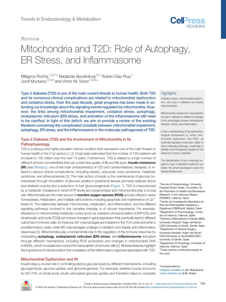 Mitochondria and T2D Role of Autophagy ER ST 2020 Trends in ...