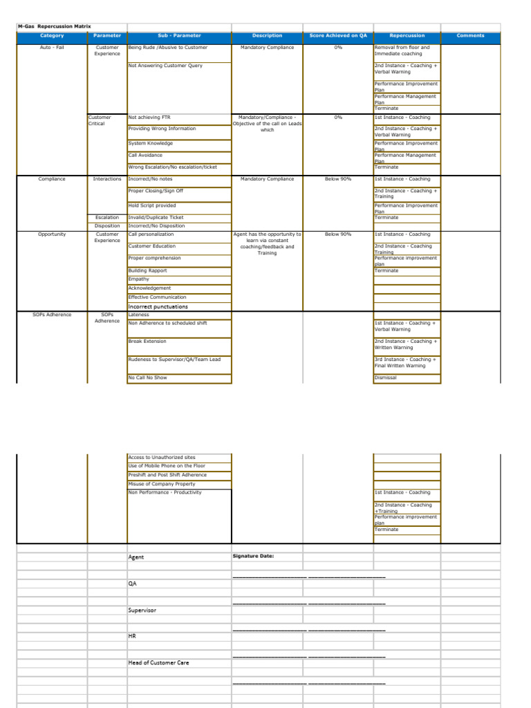 Repercussion Matrix | PDF