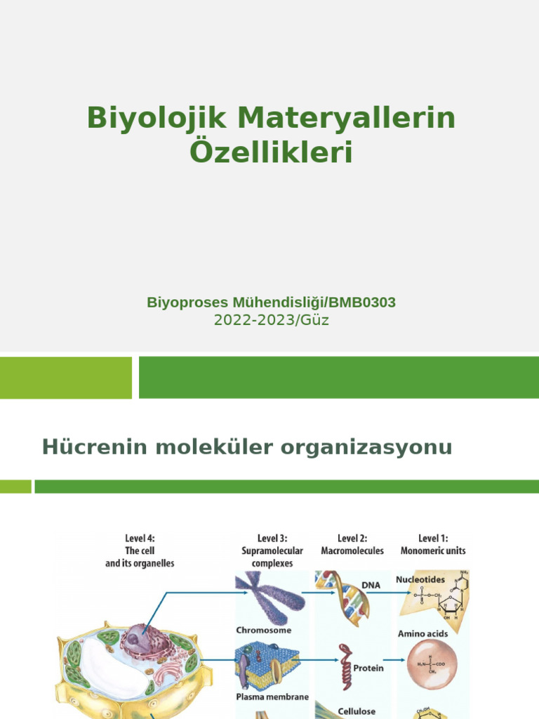2 Hafta | PDF