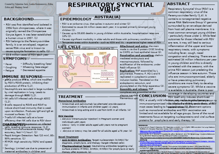 Understanding Respiratory Syncytial Virus | PDF | Virus | Virology