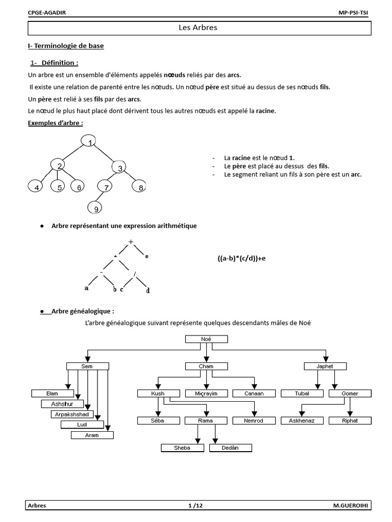 Arbres binaires et filiformes en Python | PDF | Algorithmes et ...