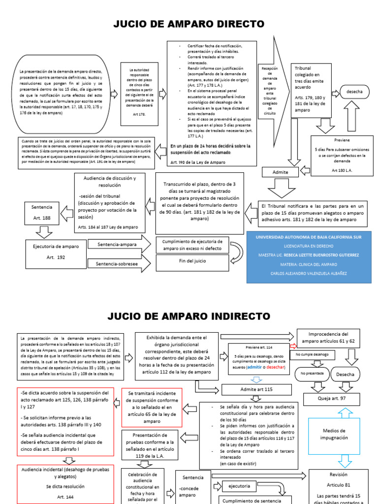 Proceso de Amparo Directo | PDF | Sentencia (ley) | Demanda judicial