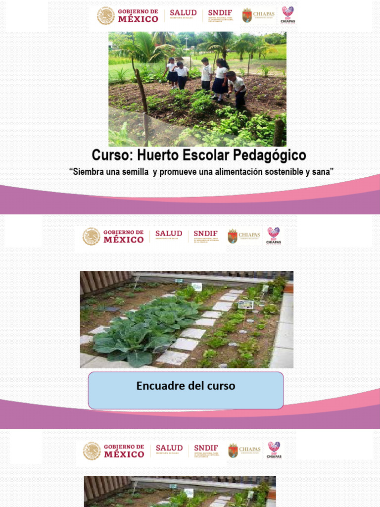 Tema Huerto Escolar Pedagogico | PDF | Huerta | Siembra