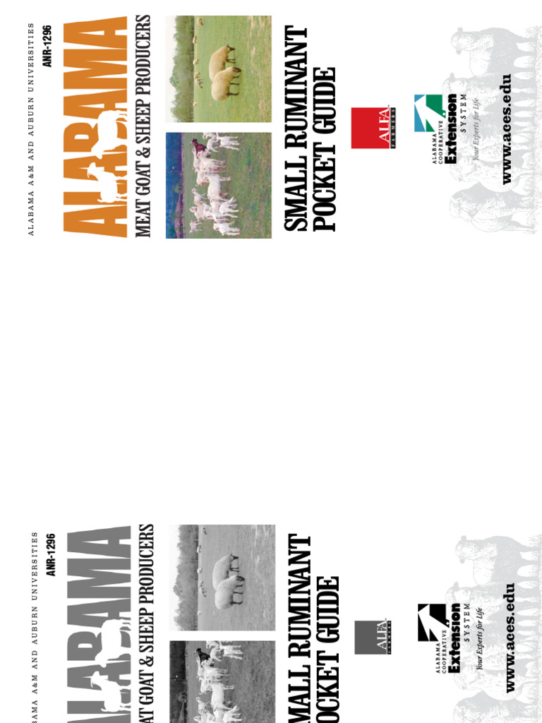 Guide Small Rumiants | PDF | Sheep