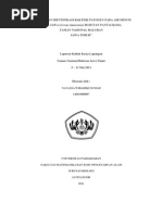 Download Isolasi Dan Identifikasi Bakteri Patogen Pada Air Minum Rusa Jawa Cervus is Di Hutan Pantai Bama by NatassaWiradikusumah SN79731460 doc pdf