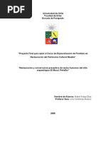 Araya, M. Rest. y Conserv. Preventiva Restos Humanos El Macal, Chile. 2008