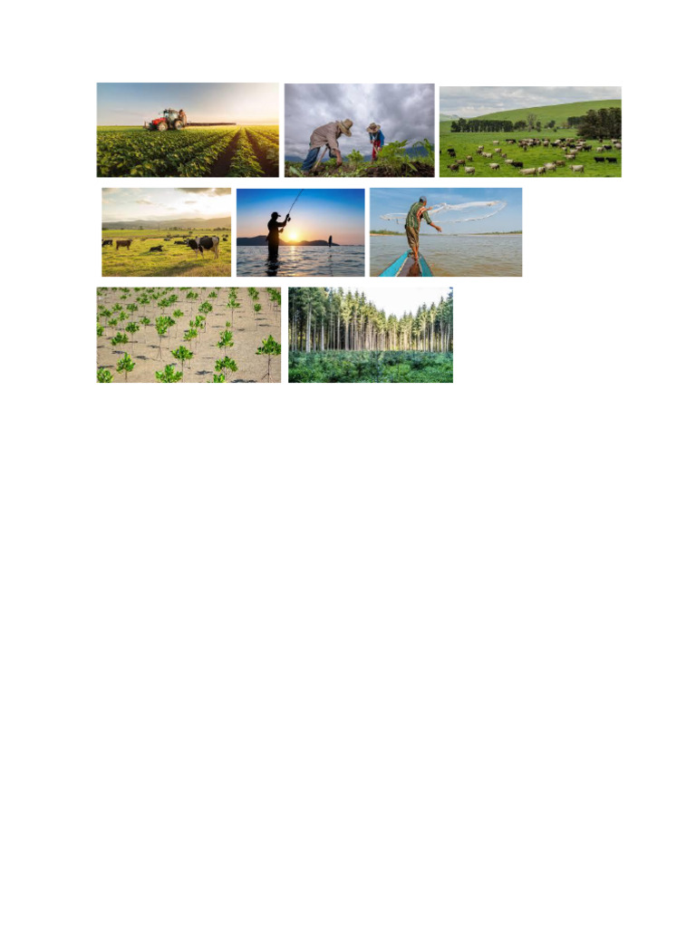 Collage Geo. | PDF