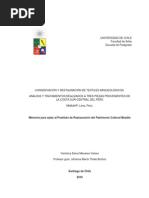 Menares, V. Conserv. y rest. de textiles arqueológicos. 2010