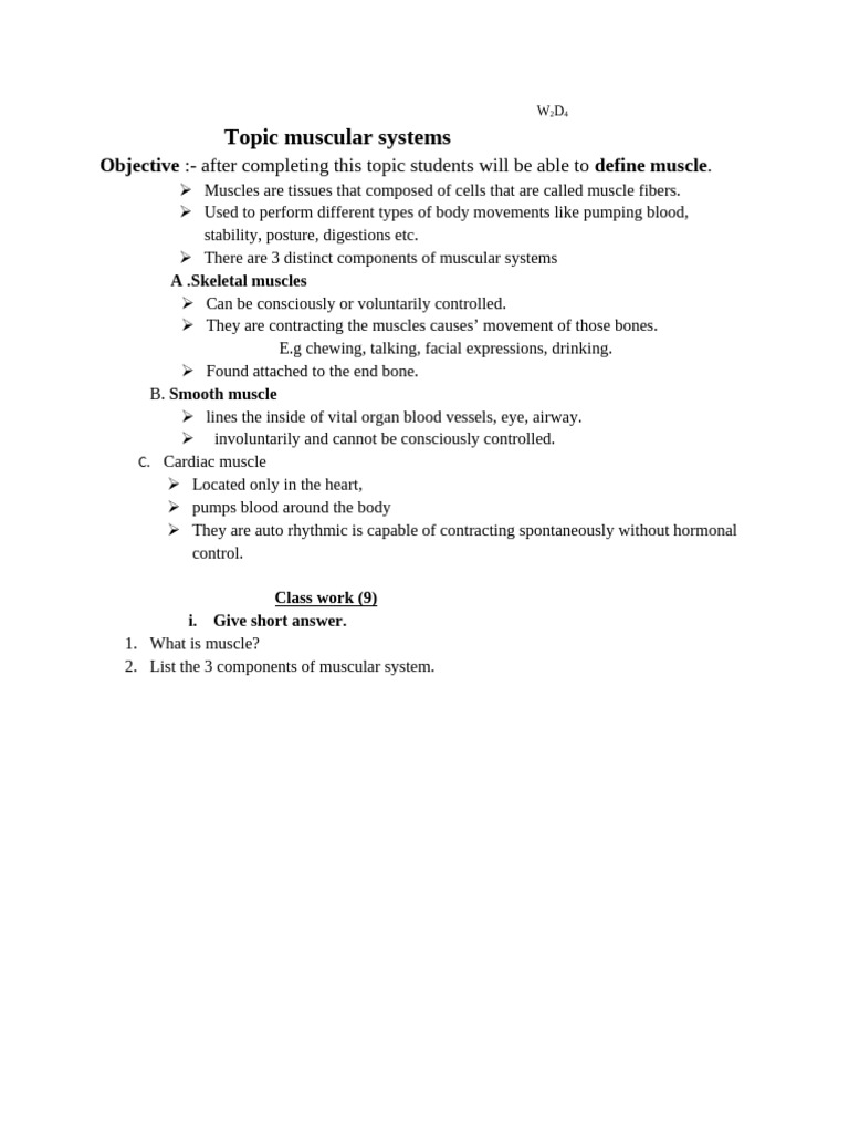 Muscular System Overview and Functions | PDF | Heart | Tooth