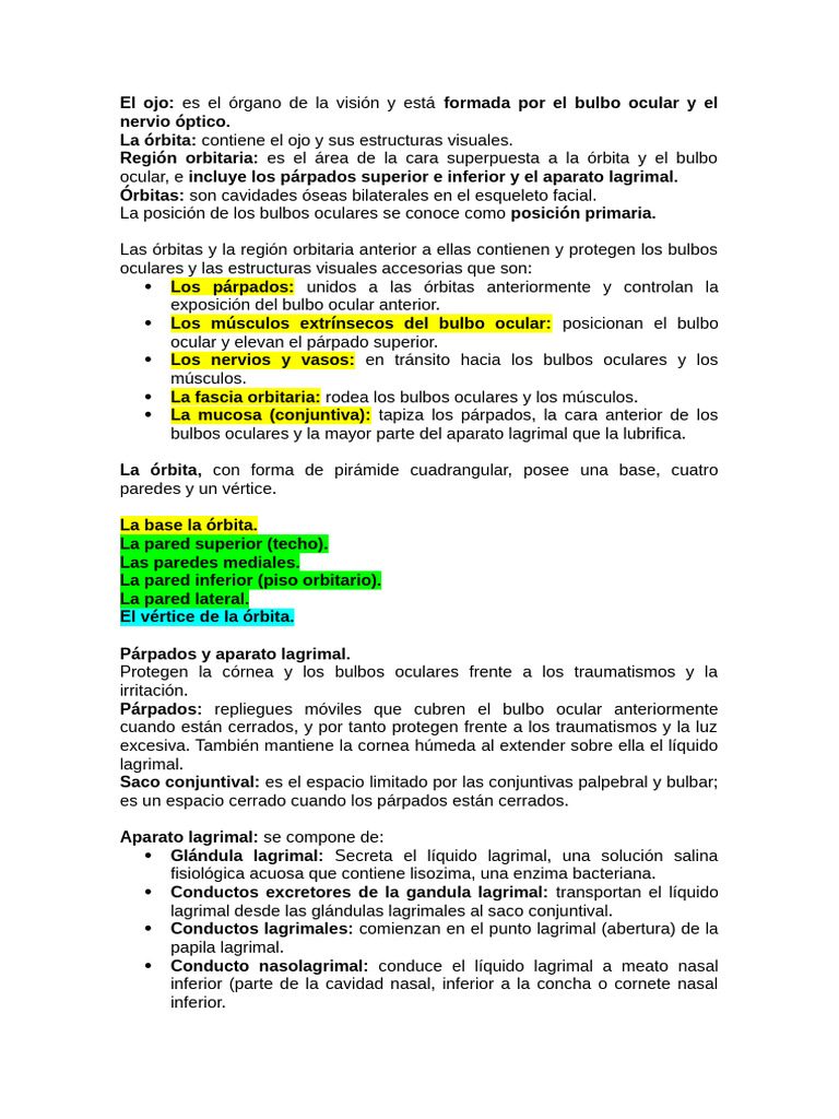 Resume N | PDF | Ojo | Anatomía humana