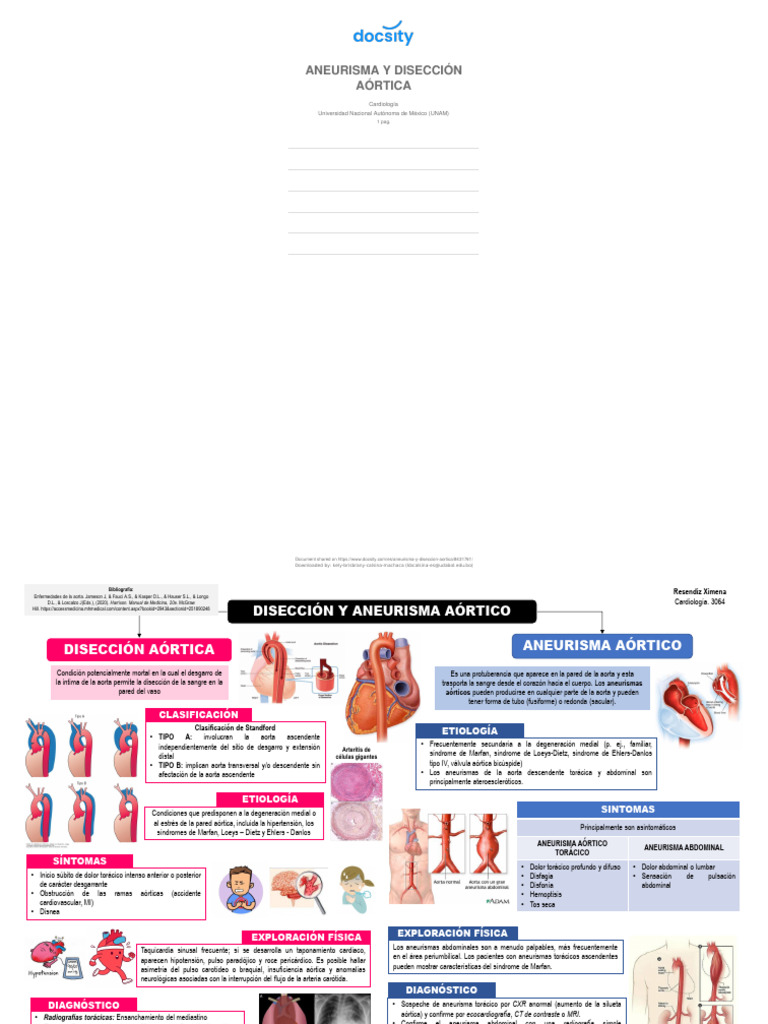 Aneurisma y Disección Aórtica: Guía Completa | PDF | Aorta | Angiología
