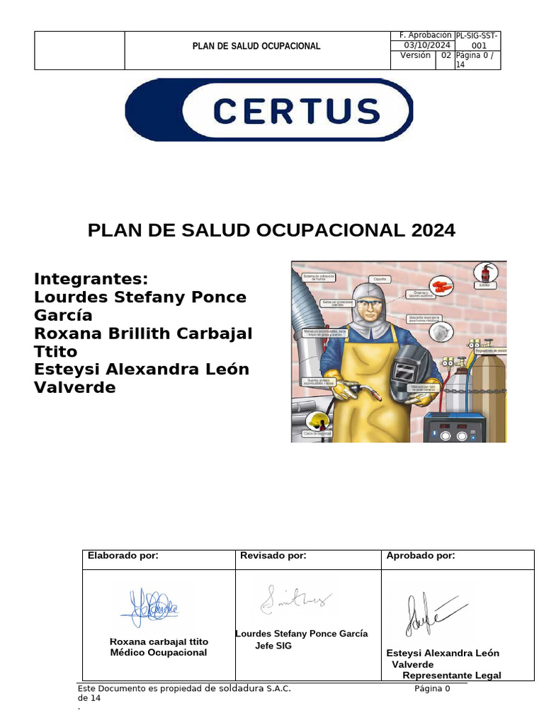 Plan de Salud Ocupacional 2024 | PDF | Seguridad y salud ocupacional ...