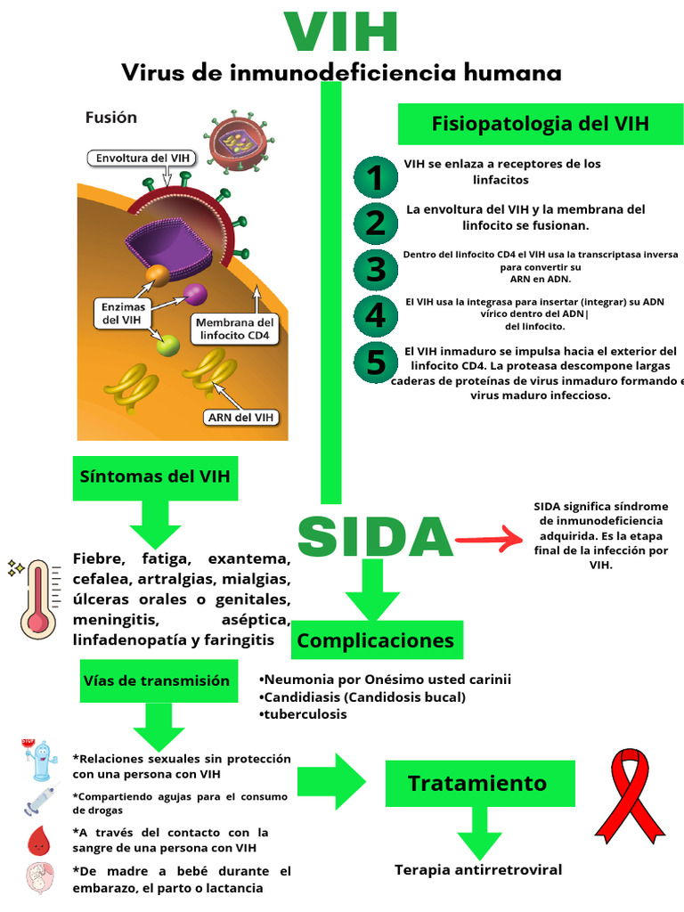 Esquema VIH | PDF | VIH | VIH / SIDA
