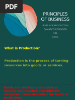 Types and Levels of Production Explained | PDF | Factors Of Production ...