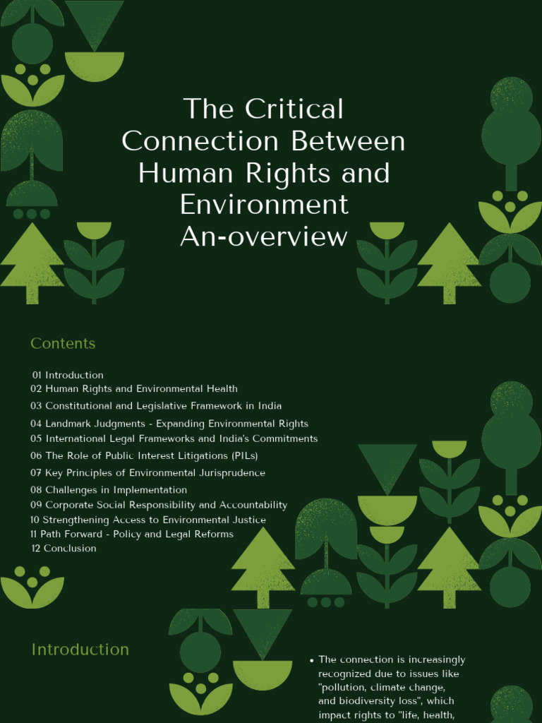 Human Rights and Environment in India | PDF | Environmental Law ...