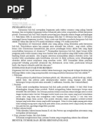 Download Tumor Buli by Khairul Mustafa SN79744323 doc pdf