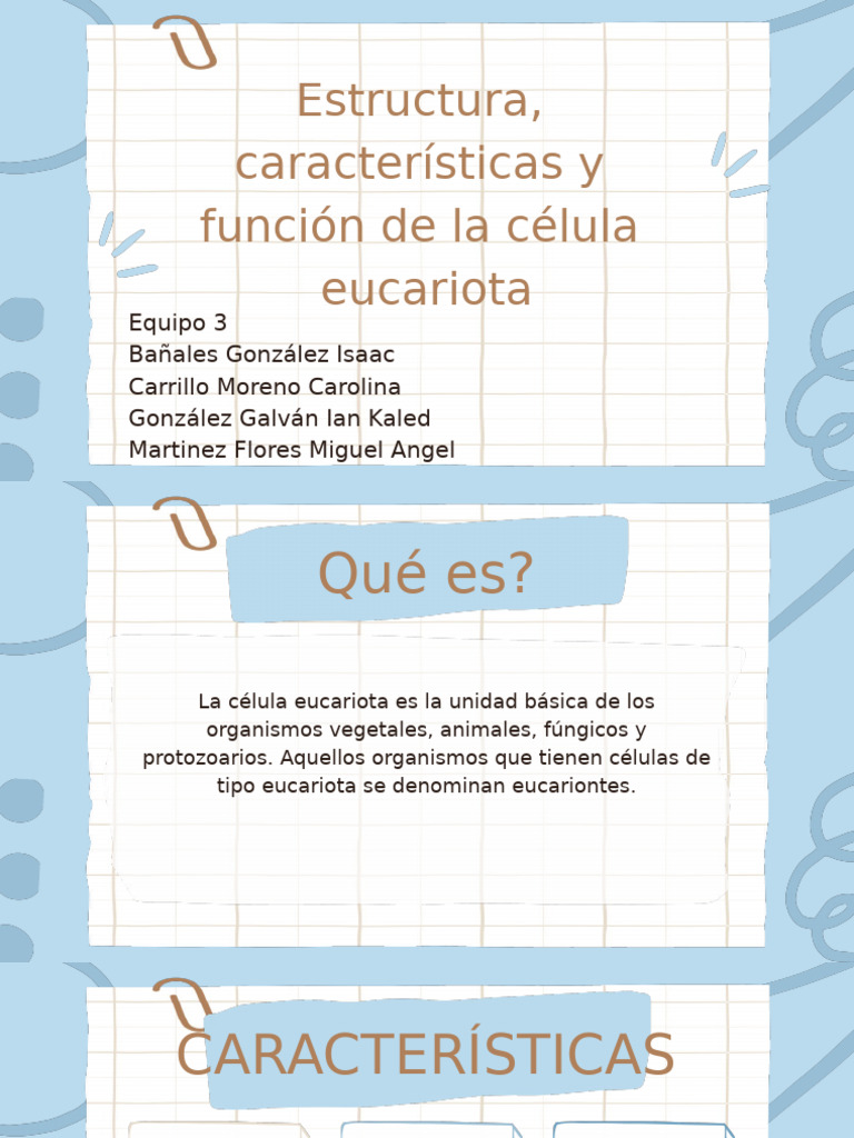 Estructura y función de la célula eucariota | PDF | Citoplasma ...