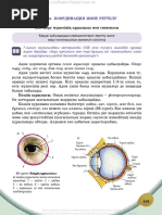 Клиторы тесілген қыздар