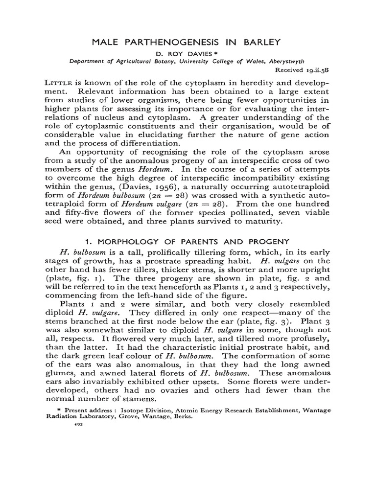Male Parthenogenesis in Barley 52q6rnlsh4 | PDF | Ploidy | Meiosis