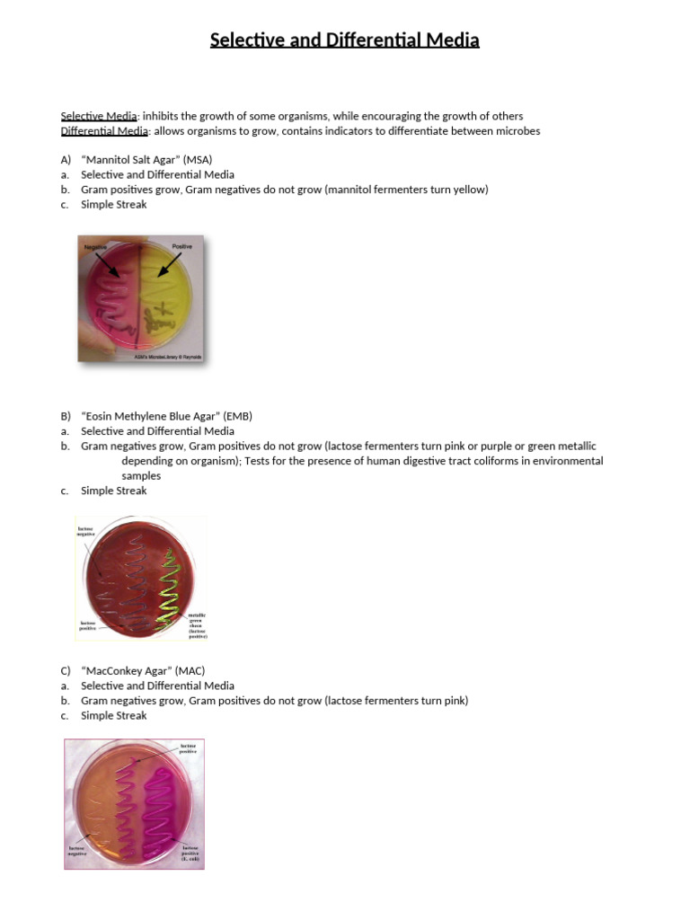Selective and Differential Media Exercise Cheat Sheet | PDF | Growth ...