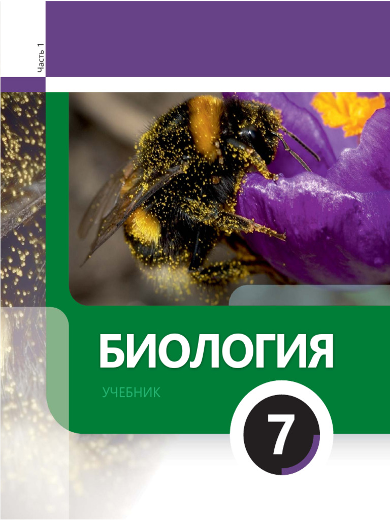 Httpstrims - Edu.aznoduploadsbookquot Russkij Yazyk Quot Rus Dili ...