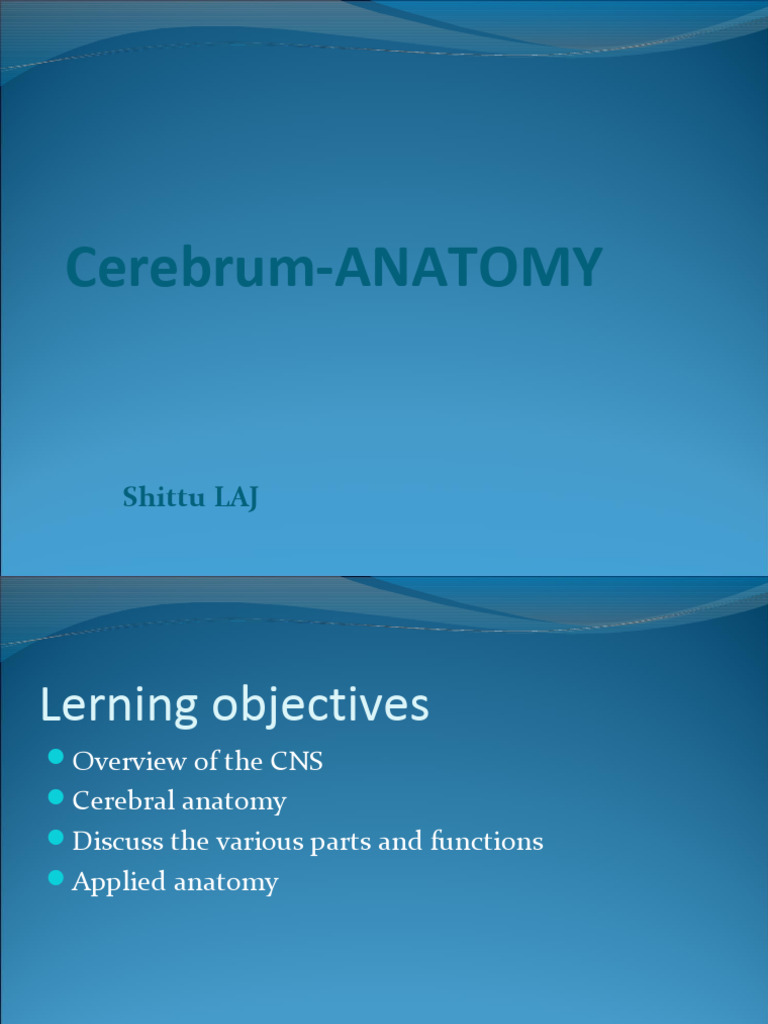 Anatomy of the Cerebrum Explained | PDF | Cerebrum | Cerebral Hemisphere