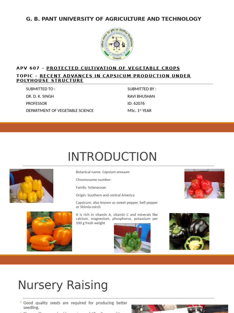 Advances in Capsicum Production Techniques | PDF | Hydroponics ...