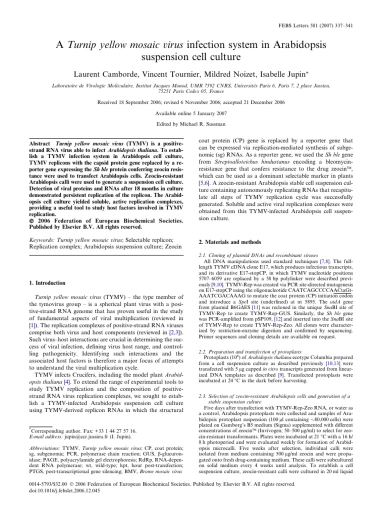 FEBS Letters - 2007 - Camborde - A Turnip Yellow Mosaic Virus Infection ...