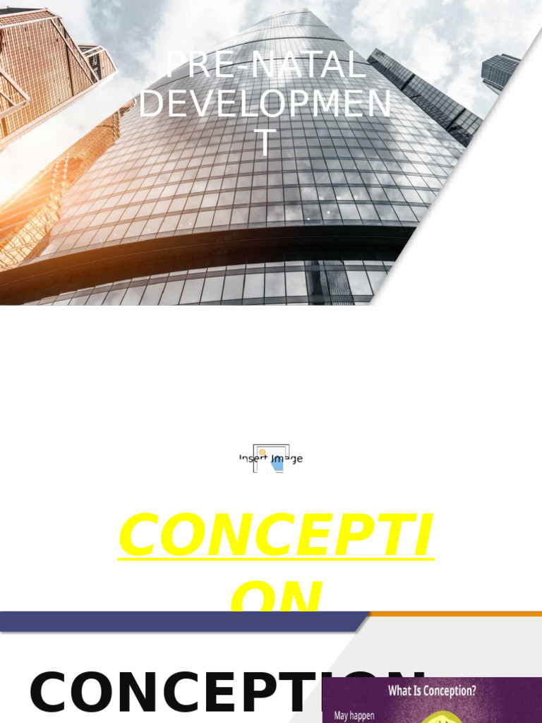Prenatal Development Stages Explained | PDF | Embryo | Prenatal Development