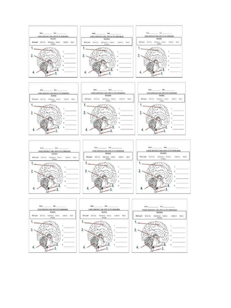 Tapic For Activities | PDF
