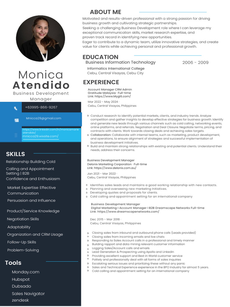Business Development Pro Profile | PDF | Sales | Business Development