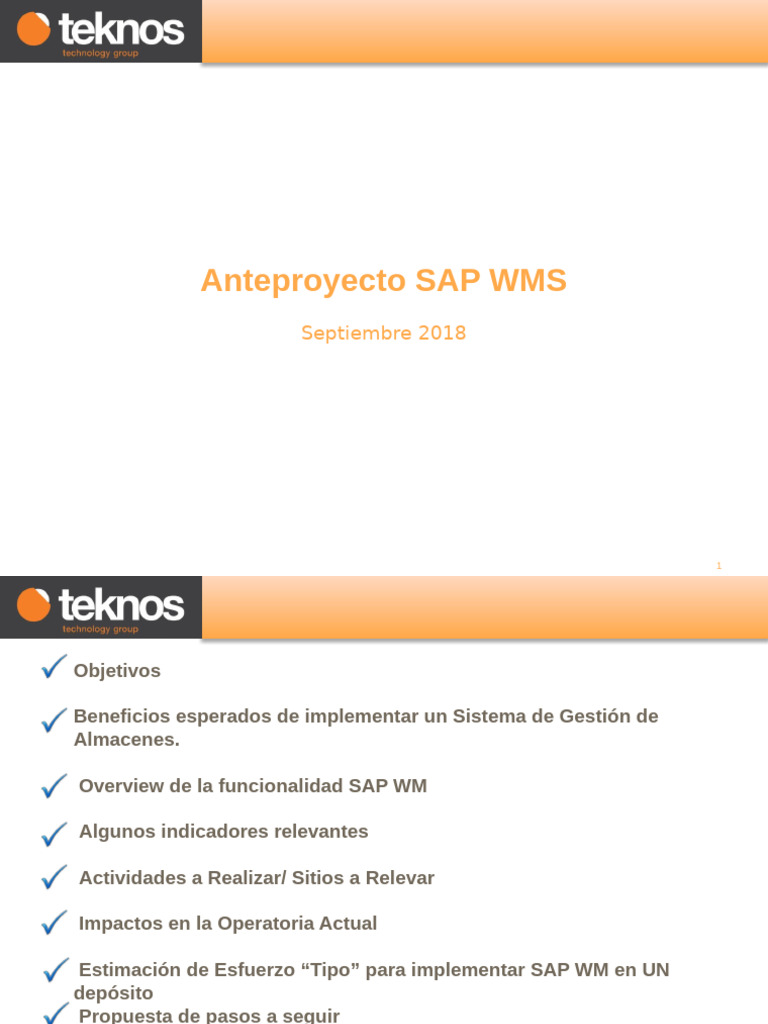 INFO para Ante Proyecto SAP WMS | PDF | Business