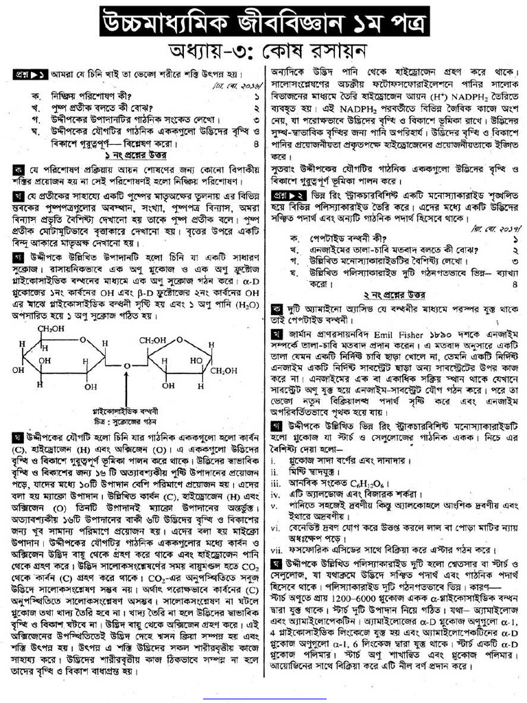 HSC Biology Chapter 3 Notes | PDF