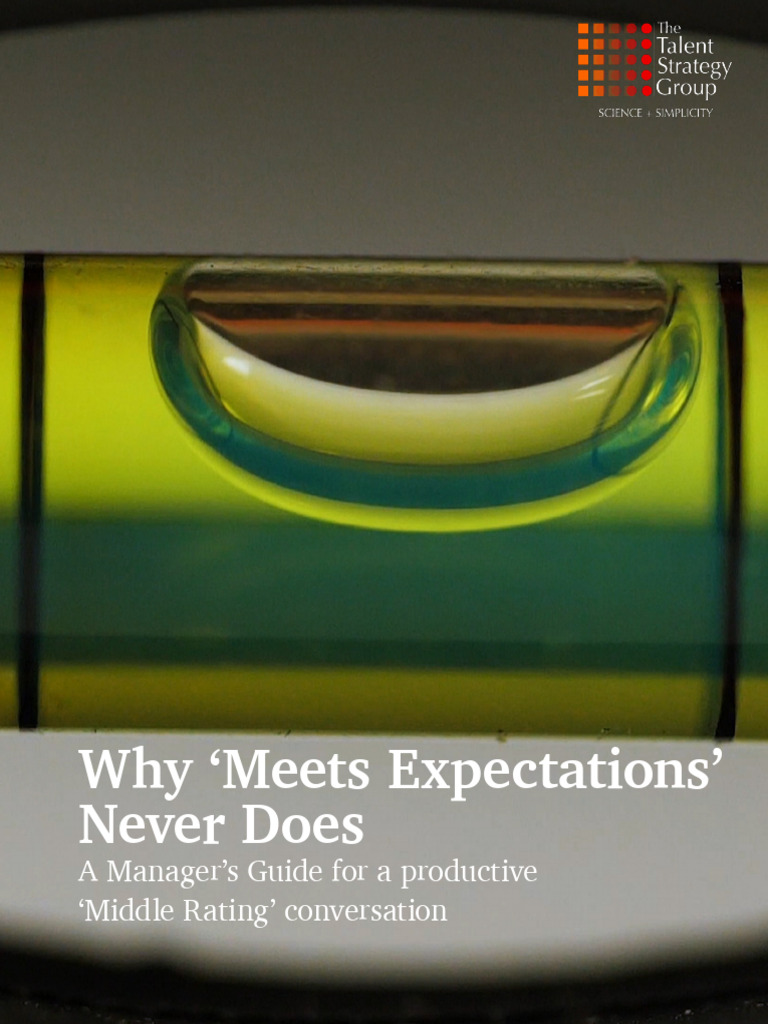 Navigating 'Meets Expectations' Ratings | PDF