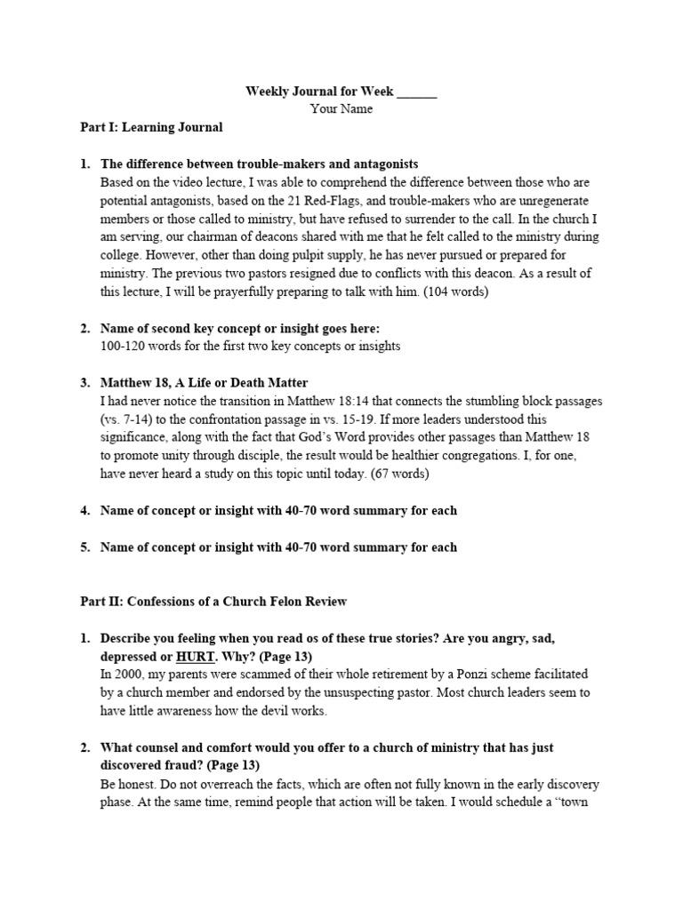 Sample Weekly Journal | PDF