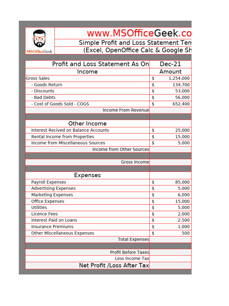 Profit and Loss Statement Template | PDF | Expense | Cost Of Goods Sold
