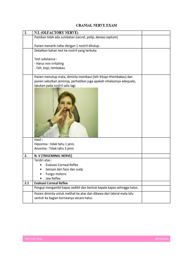 Cranial Nerve Exam | PDF