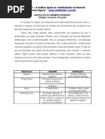 Musculos Do Membro Inferior