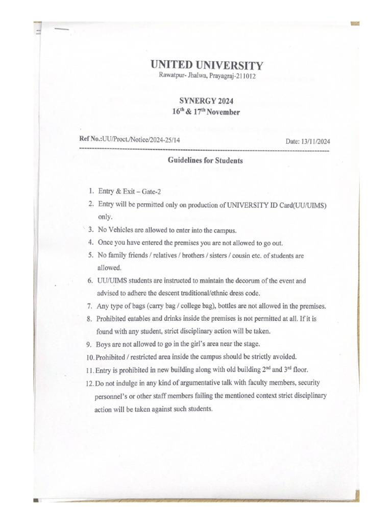 Synergy Guidelines For Students | PDF