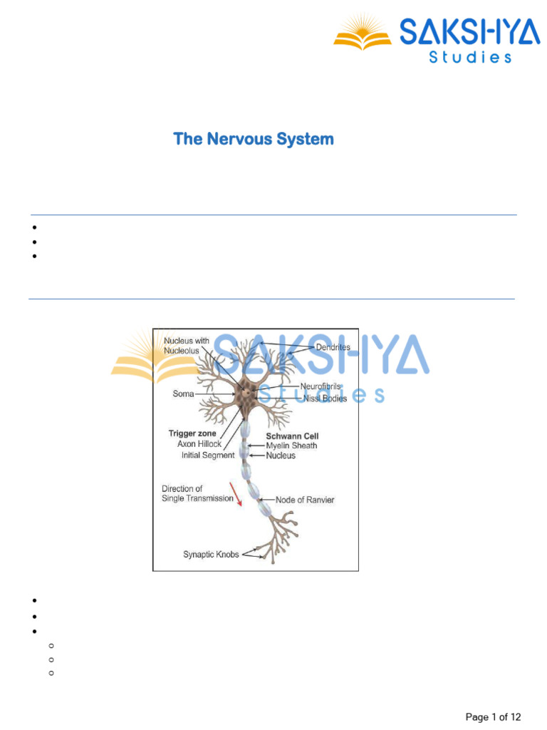 Nervous System Class 10 ICSE Notes | PDF | Ear | Neuron