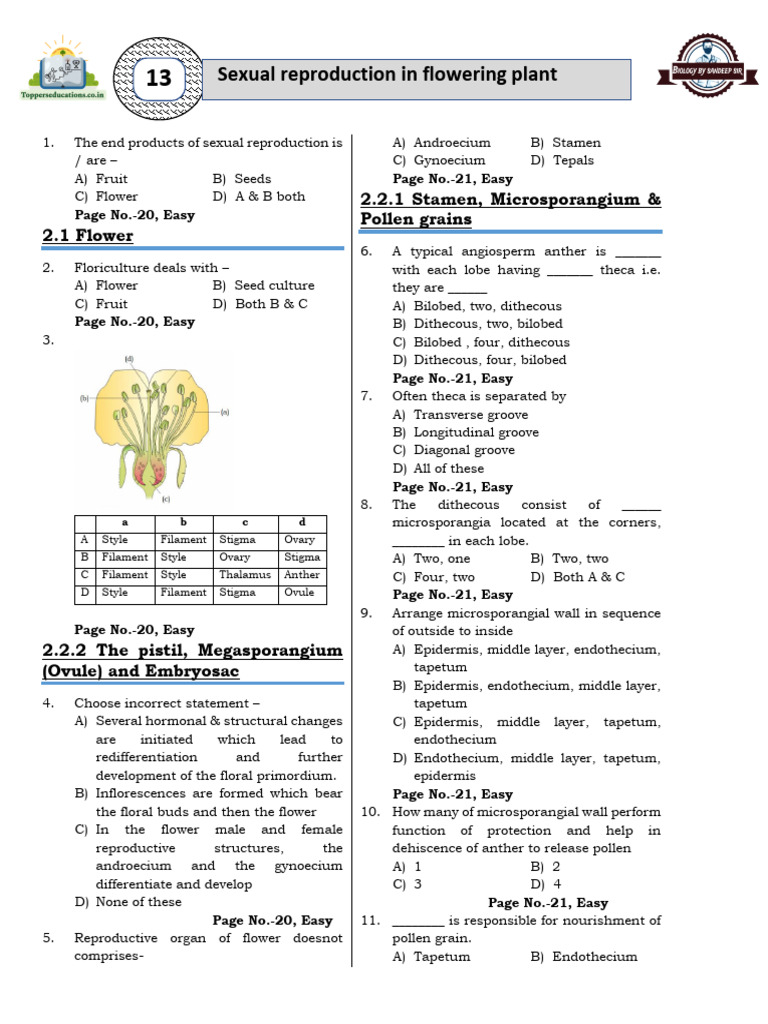 Sexual Reproduction in Flowering Plants | PDF | Seed | Pollination
