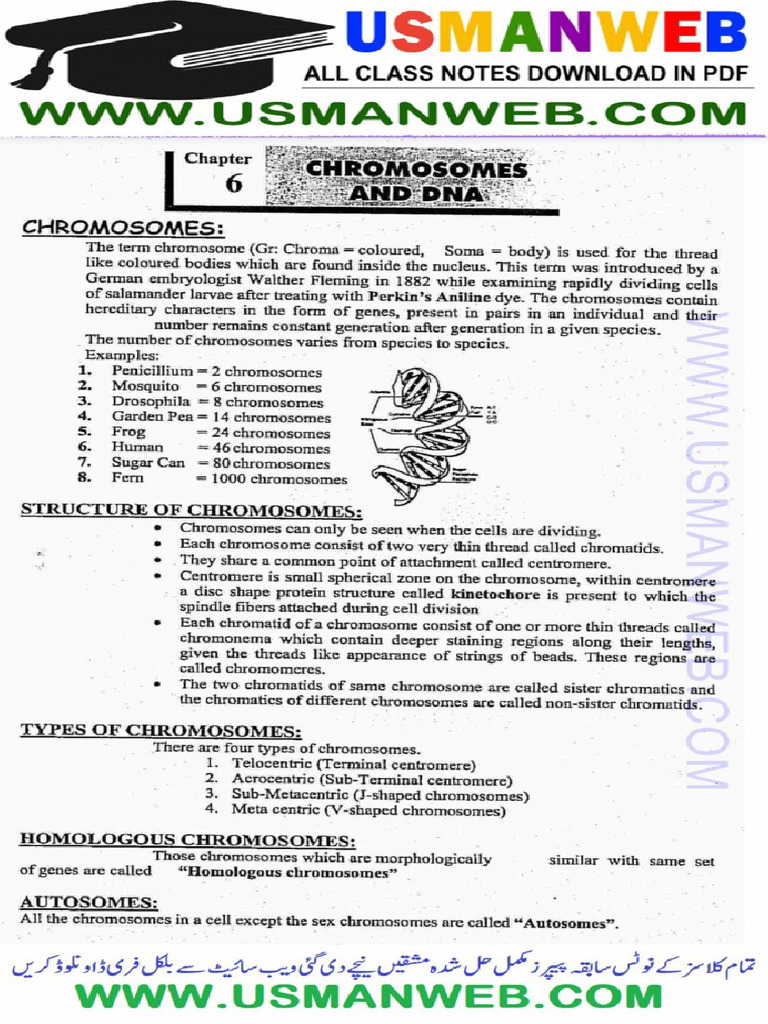 12th Biology CH 6 Notes | PDF