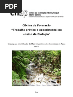Chave_Identificação_Macroinverteb_2010