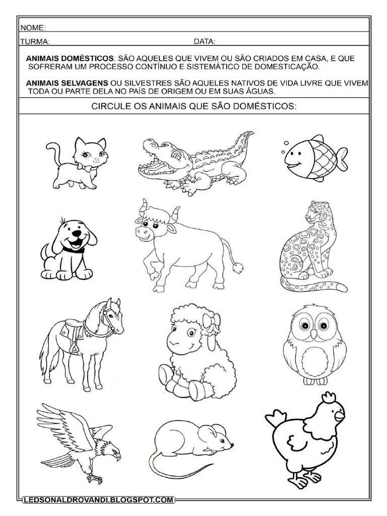 Atividades Sobre Os Animais | PDF