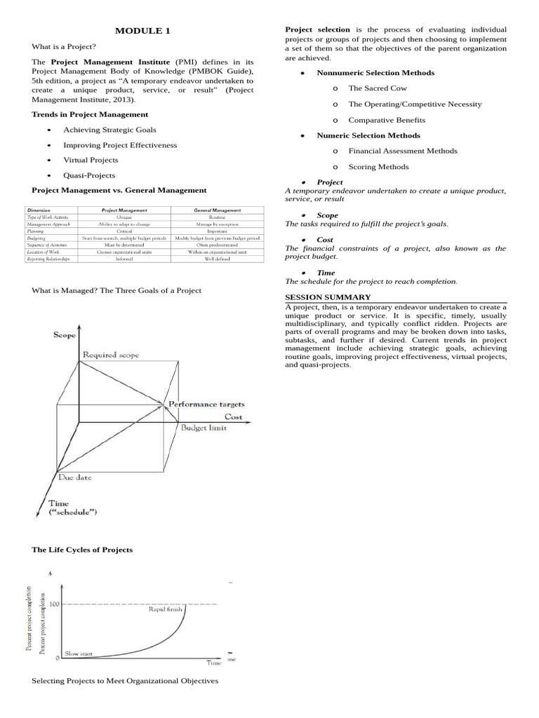 Understanding Project Management Basics | PDF | Project Management ...