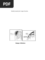 Scapular Muscle Testing Guide | PDF | Anatomical Terms Of Motion | Shoulder