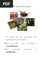 ud-4-el-reino-animal